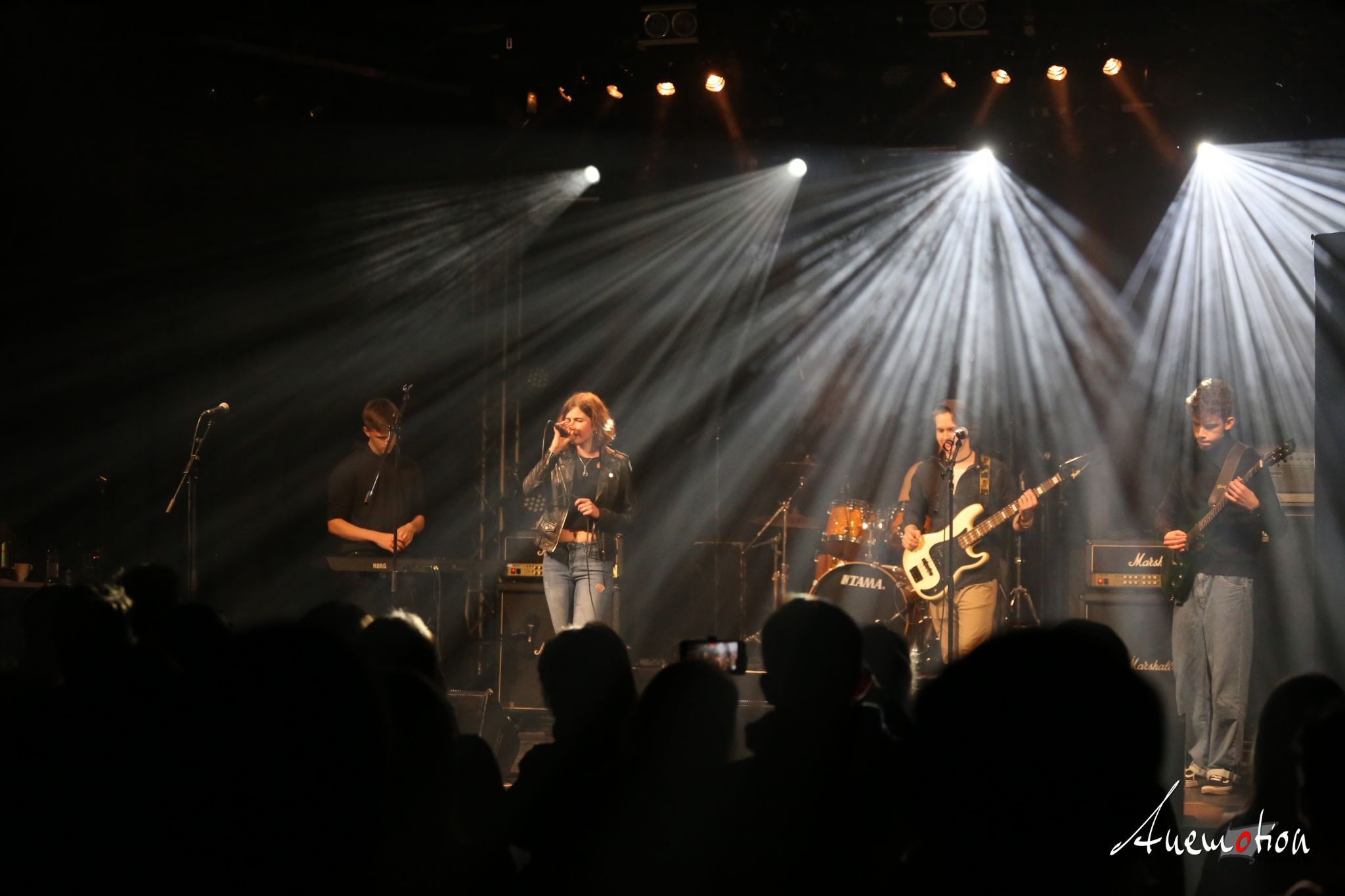 ElephantsFalling (19)